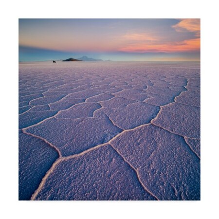 Trademark Fine Art Ignacio Palacios 'Salar De Uyuni' Canvas Art, 24x24 1X06198-C2424GG
